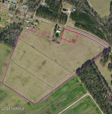 30 Ac Raccoon Rd, Willard, NC 28478