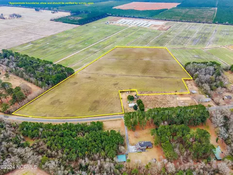 30 Ac Raccoon Rd, Willard, NC 28478 photo 5