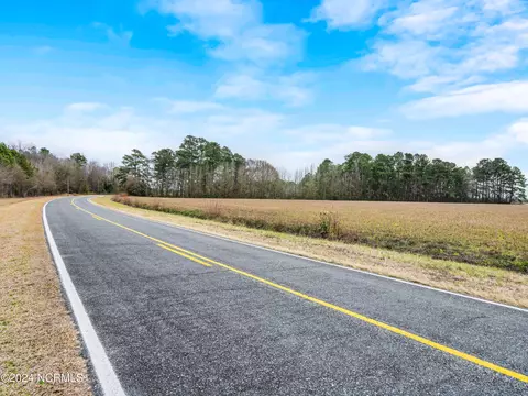 30 Ac Raccoon Rd, Willard, NC 28478 photo 16