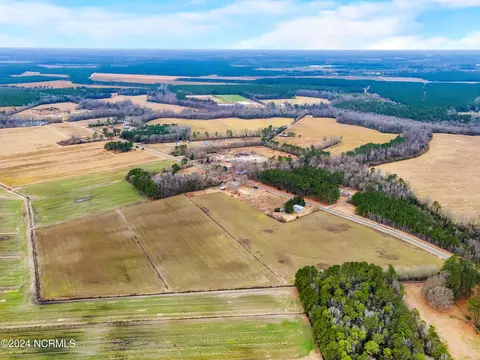 30 Ac Raccoon Rd, Willard, NC 28478 photo 8