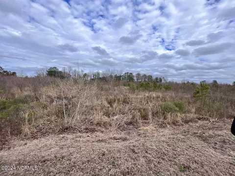 0 Hwy 55, Dover, NC 28526 photo 40
