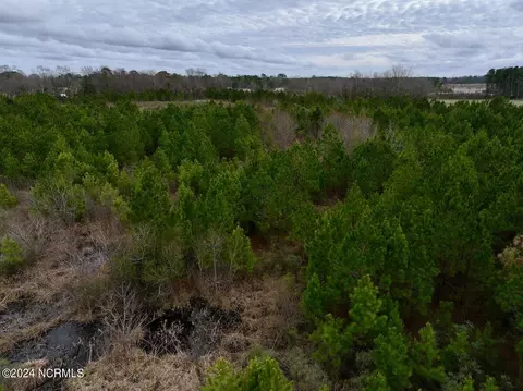 0 Hwy 55, Dover, NC 28526 photo 47