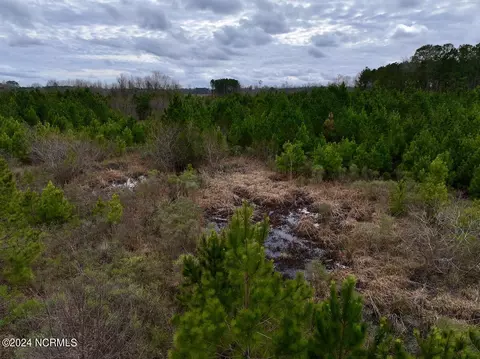 0 Hwy 55, Dover, NC 28526 photo 37