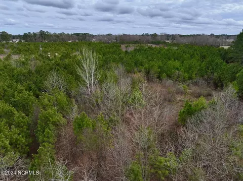 0 Hwy 55, Dover, NC 28526 photo 10