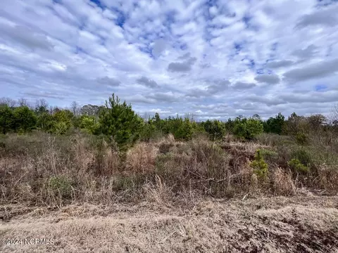 0 Hwy 55, Dover, NC 28526 photo 41