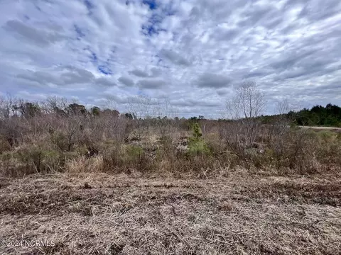0 Hwy 55, Dover, NC 28526 photo 36