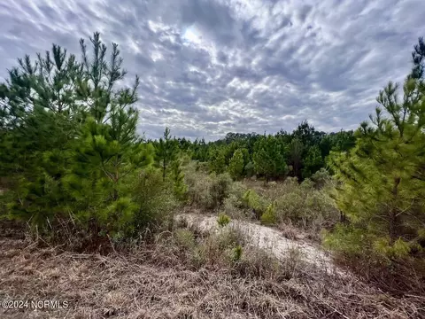 0 Hwy 55, Dover, NC 28526 photo 50