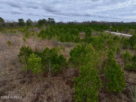 0 Hwy 55, Dover, NC 28526 photo 46