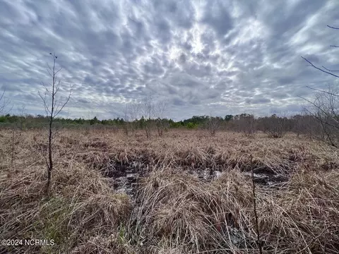 0 Hwy 55, Dover, NC 28526 photo 35