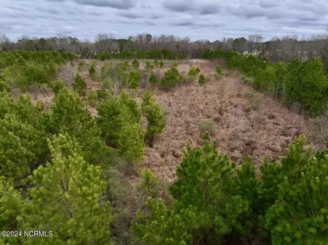 0 Hwy 55, Dover, NC 28526 photo 29