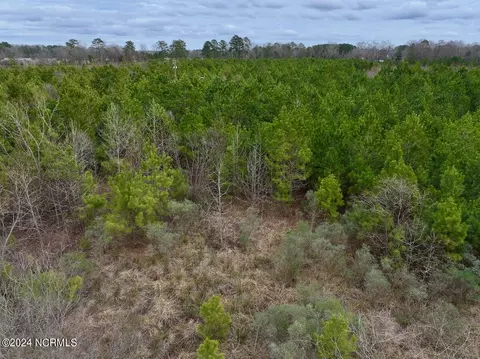 0 Hwy 55, Dover, NC 28526 photo 28