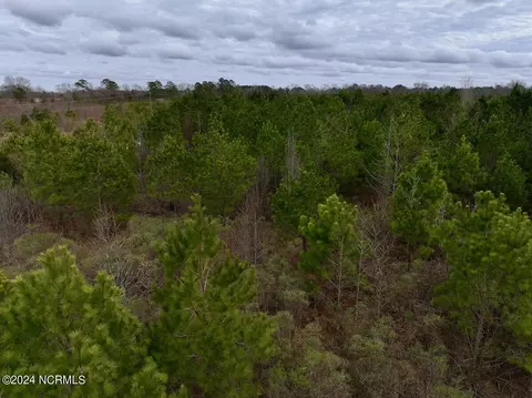 0 Hwy 55, Dover, NC 28526 photo 44