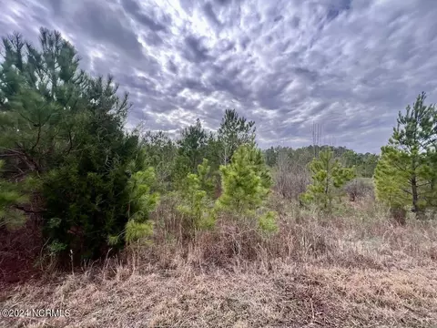 0 Hwy 55, Dover, NC 28526 photo 49