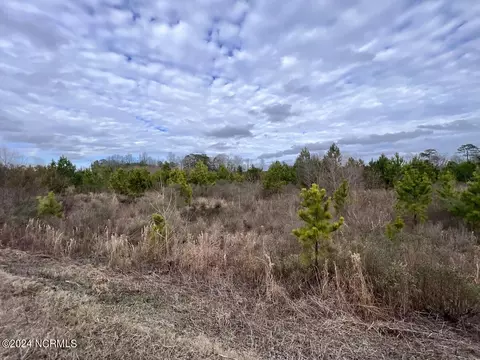 0 Hwy 55, Dover, NC 28526 photo 48