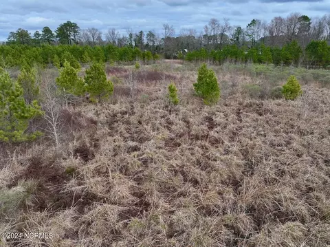 0 Hwy 55, Dover, NC 28526 photo 38