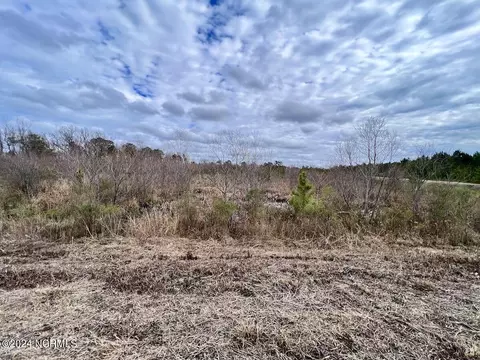 0 Hwy 55, Dover, NC 28526 photo 51