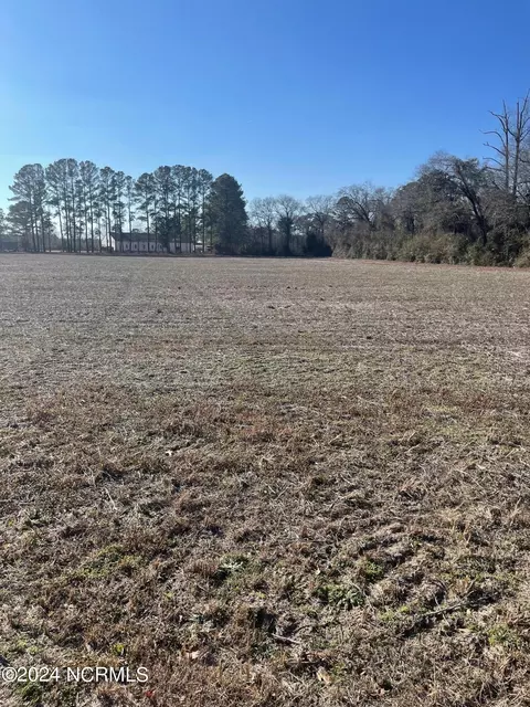 00 Duplin County Rd, Pink Hill, NC 28572