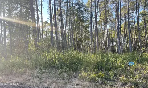 1311 Beech Rd, Southport, NC 28461