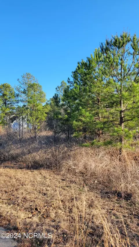 lot204 Kenric Pt, Rockingham, NC 28379