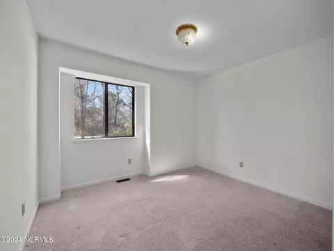 202 Hickory Ln, Hampstead, NC 28443 photo 40