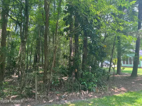 Near E Frink Street, Whiteville, NC 28472