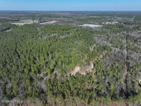 tbd Canady Rd, Harrells, NC 28444 photo 10