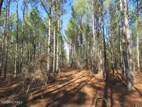 tbd Canady Rd, Harrells, NC 28444 photo 16