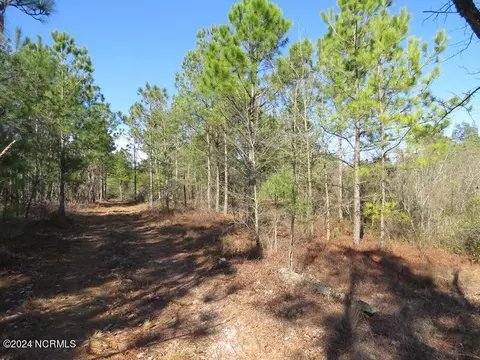 tbd Canady Rd, Harrells, NC 28444 photo 13