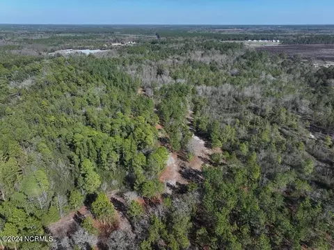 tbd Canady Rd, Harrells, NC 28444 photo 24