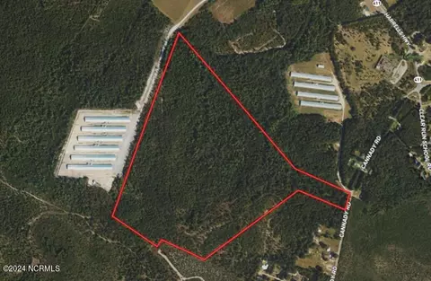 tbd Canady Rd, Harrells, NC 28444 photo 2