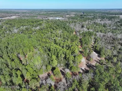 tbd Canady Rd, Harrells, NC 28444 photo 7