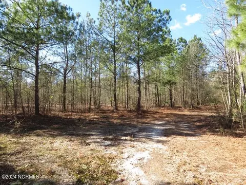 tbd Canady Rd, Harrells, NC 28444 photo 11