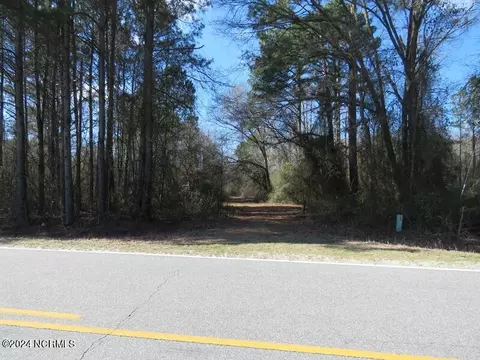 tbd Canady Rd, Harrells, NC 28444 photo 17