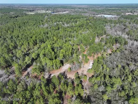tbd Canady Rd, Harrells, NC 28444 photo 5