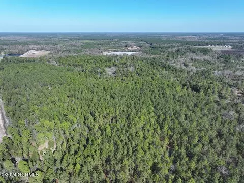 tbd Canady Rd, Harrells, NC 28444 photo 8