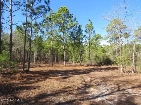 tbd Canady Rd, Harrells, NC 28444 photo 14