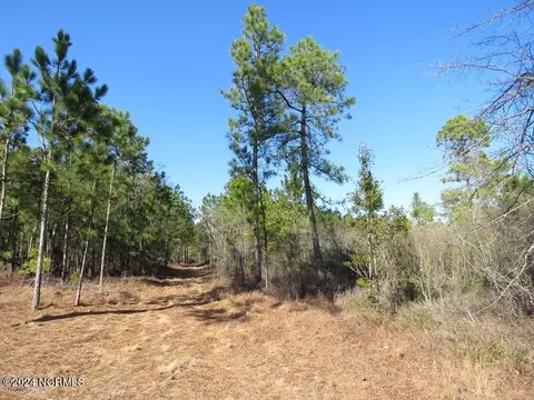 tbd Canady Rd, Harrells, NC 28444 photo 20