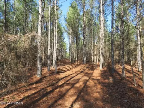 tbd Canady Rd, Harrells, NC 28444 photo 21