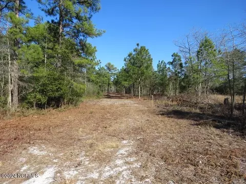 tbd Canady Rd, Harrells, NC 28444 photo 23