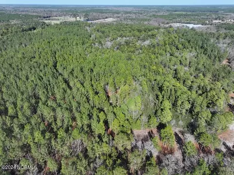 tbd Canady Rd, Harrells, NC 28444 photo 6
