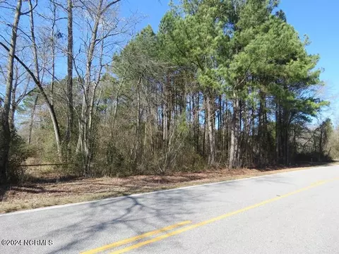 tbd Canady Rd, Harrells, NC 28444 photo 3