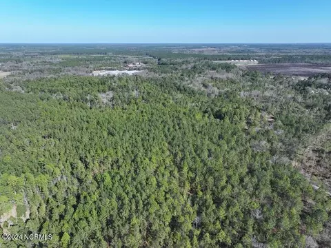 tbd Canady Rd, Harrells, NC 28444 photo 9