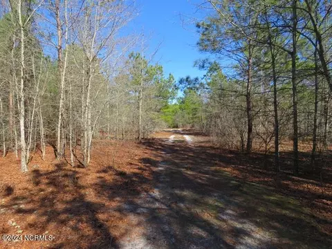 tbd Canady Rd, Harrells, NC 28444 photo 12