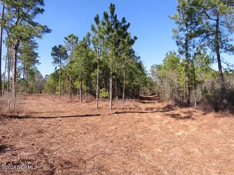 tbd Canady Rd, Harrells, NC 28444 photo 19