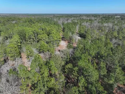 tbd Canady Rd, Harrells, NC 28444