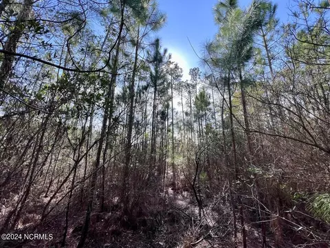 794 Wheaton Point Rd, Aurora, NC 27806 photo 23