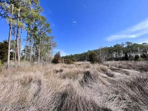 794 Wheaton Point Rd, Aurora, NC 27806 photo 33