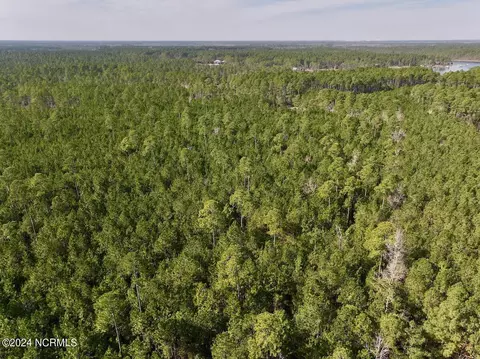 794 Wheaton Point Rd, Aurora, NC 27806 photo 24