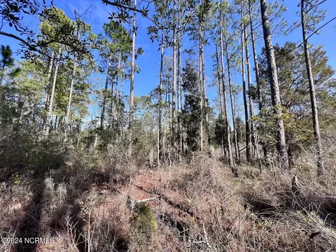 794 Wheaton Point Rd, Aurora, NC 27806 photo 31