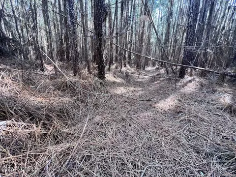 794 Wheaton Point Rd, Aurora, NC 27806 photo 48